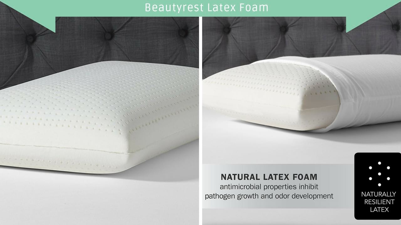 Beautyrest Latex Foam Pillow